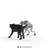 Schleich Set Werewolf vs Animagus Harry Potter