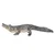 Mojo Aligator