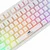 BARRACUDA Krill TKL pozadinsko osvetljenje RGB gaming tastatura