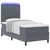 vidaXL Box Spring Postelja z Mattresom & LED Temno Siva 100x200 cm Žamet