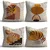 Aberto Design Set dekorativnih jastučnica ASR-plw4-12, 43 x 43 cm, 4 komada, Višebojne
