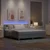 Vidaxl LED Box Spring Postelja Svetlo siva 180 x 200 cm blago