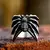 Prstan Steel Spider - SS8-1057R