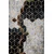 Conceptum Hypnose Tepih Hmnt773, 80x200cm, Šareni