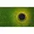 Aigostar - LED Solarna lampa LED/0,6W/5,5V 24,5 cm 3200K IP66 crna