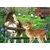 Ravensburger Puzzle Novi prijatelji, 60 delova