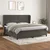Vidaxl Box spring postelja z vzmetnico temno siva 200x200 cm žamet