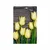 Plakat rumeni tulipani na lesenem ozadju - 40x60 white