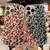 Maska Spotted za iPhone 11 Pro Max Tip1
