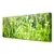 tulup.si Slika na platnu Grass nature rastlin 125x50 cm