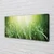 tulup.si Slika na platnu Grass sonce kapljice 100x50 cm