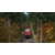 Train Simulator: Norddeutsche-Bahn: Kiel – Lübeck Route Add-On