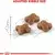 Royal Canin Cat Kitten Second Age 2 KG