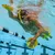 Finis manta paddle l