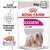 Royal Canin EXIGENT CARE DOG, vlažna hrana za pse 12x85g