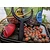 Euro Boilies 16mm/10kg Halibut boili