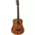 Tanglewood TW2 T Winterleaf - Elektro-Akustična Gitara