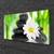 tulup.si Slika na platnu Bamboo daisy flower 100x50 cm