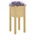 Vrtne sadilice 2 kom 31 x 31 x 70 cm od masivne borovine