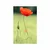 Plakat samotni mak - 60x90 no frame