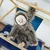 Plyšová opička Monkey Histoire d’ Ours hnedá 45 cm od 0 mes HO3046