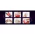 SuperLove Pleasure Box Masturbator Red
