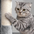 Grebalica za mačke XL 143 cm svijetlo siva SONGMICS