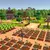 SWITCH Life in Willowdale: Farm Adventures