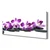 tulup.si Slika na platnu Orchid cvet spa 120x60 cm