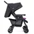 JOIE Kolica za blizance Aire R&S crna