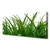 tulup.si Slika na platnu Grass nature rastlin 125x50 cm