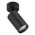 Plafonska lampa AFS121-1C BK