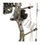 Bear Archery Compound Bow Royale Package 2020