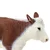 Safari Krava Hereford