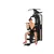 ORION Gladijator L1 Kombinovana sprava