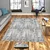 Conceptum Hypnose Tepih Eexfab820, 140x220 cm, Sivi