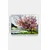 Wallity Slika na platnu 50x70cm