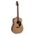 Applause AKUSTIČNA KITARA Wood Classics AAD96-4 Natural Gloss