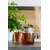 Vialli Design Vrč z infuzerjem 800 ml