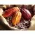 Bonnat Chocolat Noir with Pistachios 65% 100g