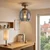 BRILAGI - LED Nadgradni plafonski luster R GLASS 1xE27/60W/230V prečnik 26 cm hrast/zadimljena siva