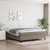 Vidaxl Box spring postelja z vzmetnico taupe 180x200 cm blago