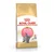 Royal Canin British Shorthair Kitten 2 kg