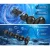 SuperLove 360 Rotating & Vibrating Anal Beads Black