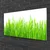 tulup.si Slika na steklu Grass nature rastlin 100x50 cm 2 obešalnika