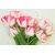 Samolepilna fototapeta poletni tulipani - 147x99