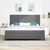 Vidaxl LED Box Spring Postelja Svetlo siva in bela. 200 x 200 cm