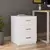 Hanah Home Kancelarijski set Beli