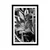 Plakat s paspartujem cvetoča lilija v črnobeli varianti - 40x60 silver