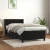 vidaXL Box spring postelja z vzmetnico črna 90x200 cm žamet